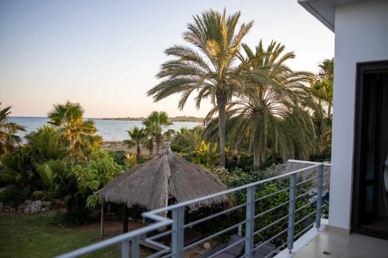 Villa Balinese Agia Napa